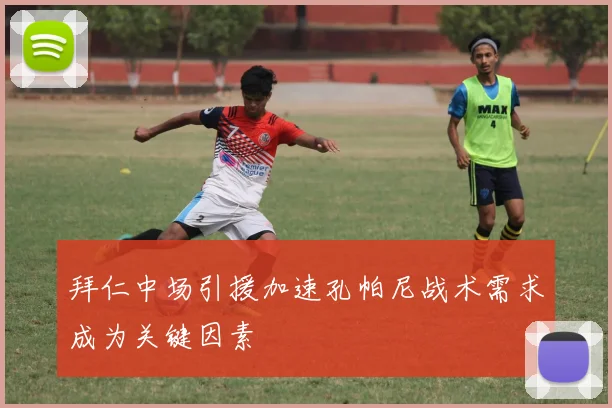 拜仁中场引援加速孔帕尼战术需求成为关键因素