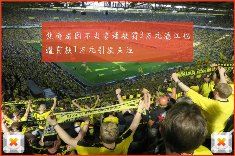 焦海龙因不当言语被罚3万元潘江也遭罚款1万元引发关注